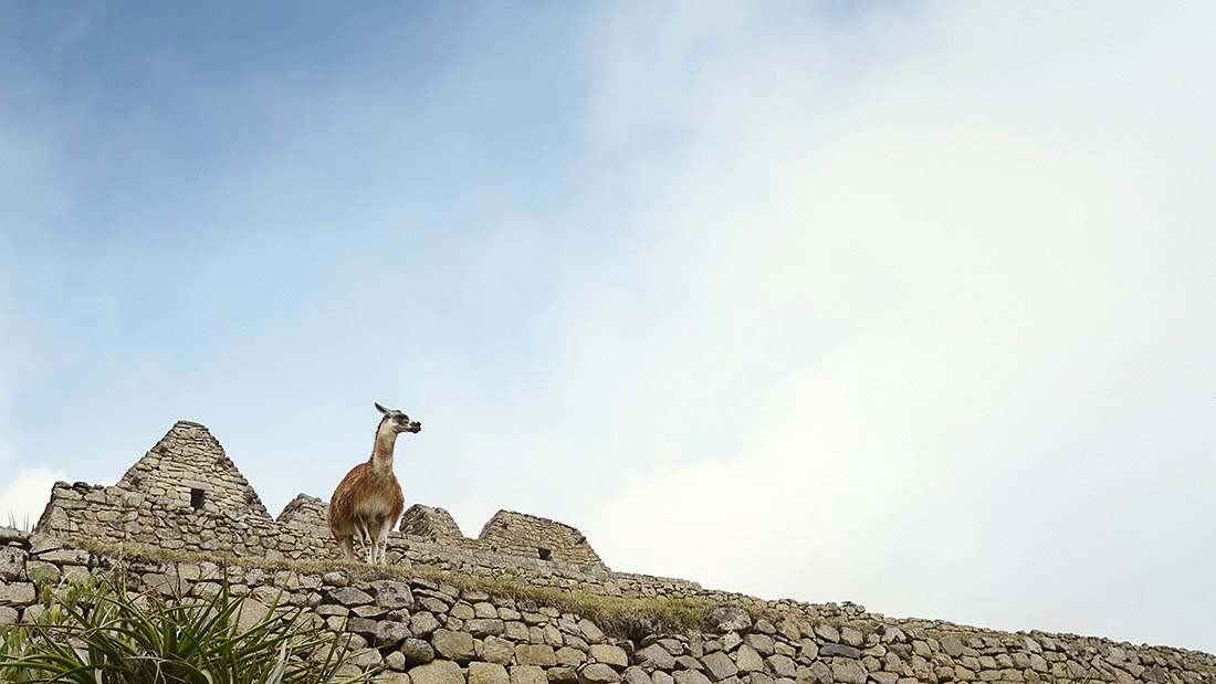 Peru