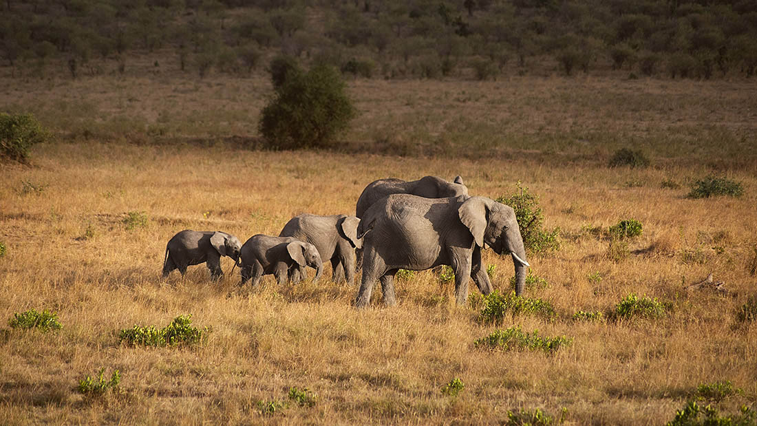 Kenya