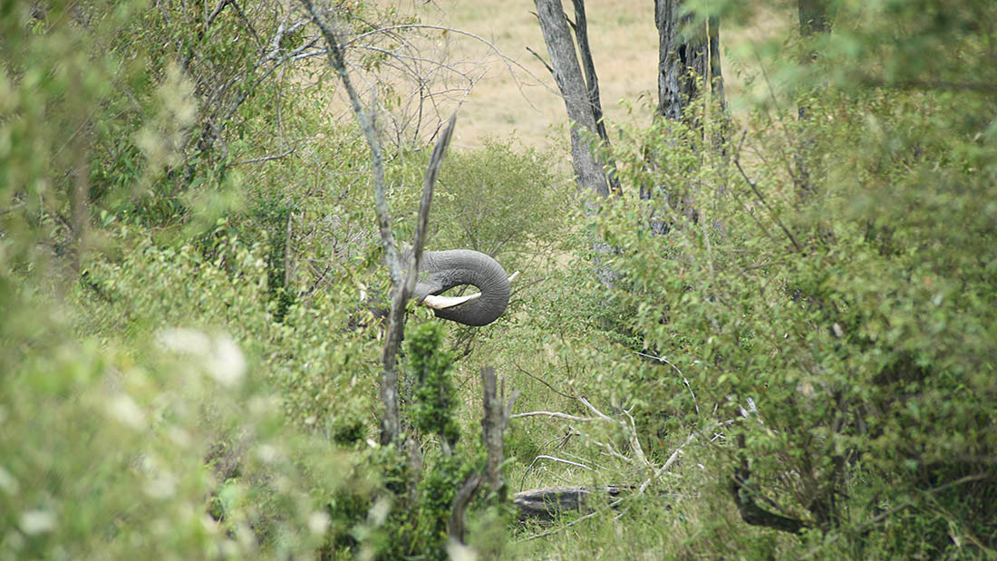 Kenya