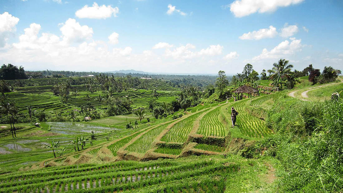 Indonesia